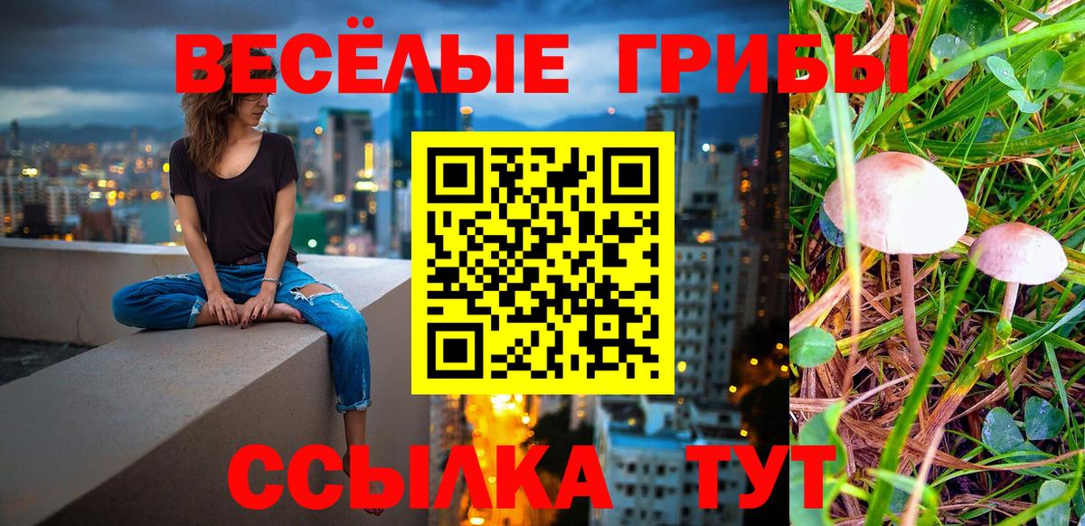 Галлюциногенные грибы GOLDEN TEACHER  Вход с VPN  Псилоцибиновые грибы мухоморы  Камышлов 